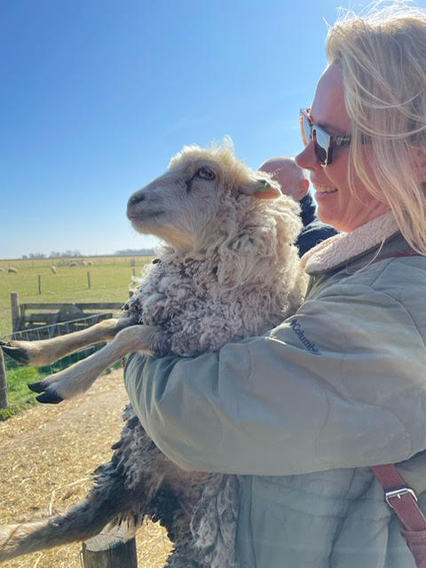schaap-1